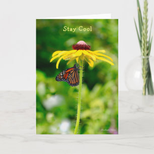 Happy Birthday: Stay cool Card