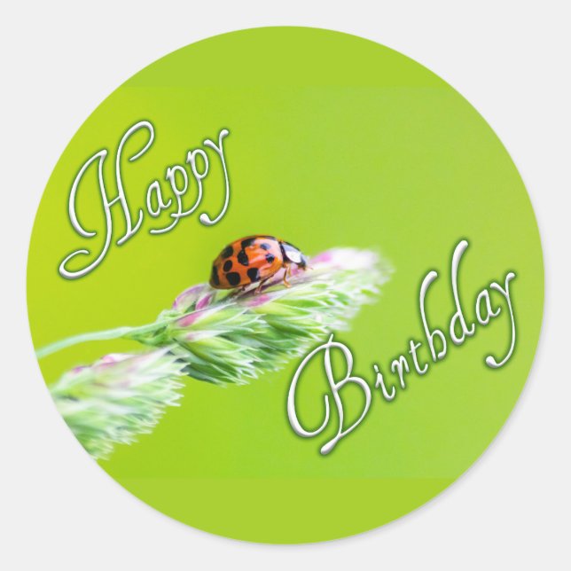 Happy Birthday stickers with a ladybug! (Front)