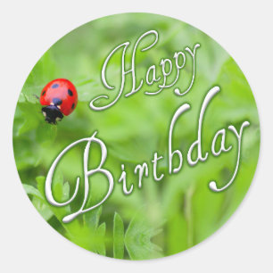 Happy Birthday stickers with a ladybug!