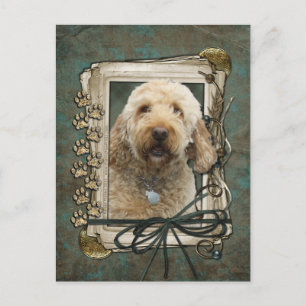 Happy Birthday - Stone Paws - GoldenDoodle Postcard