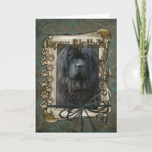 Happy Birthday - Stone Paws - Newfoundland Card
