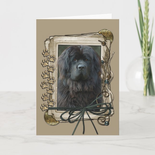 Happy Birthday - Stone Paws - Newfoundland Card (Front)