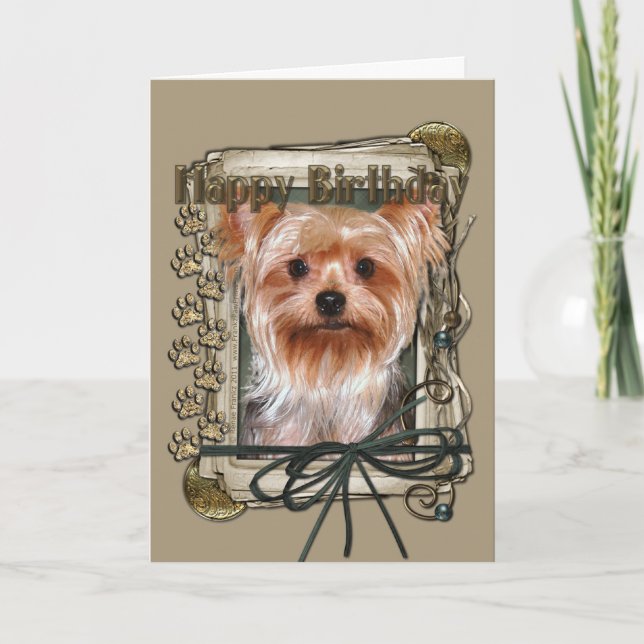 Happy Birthday - Stone Paws - Yorkshire Terrier Card (Front)