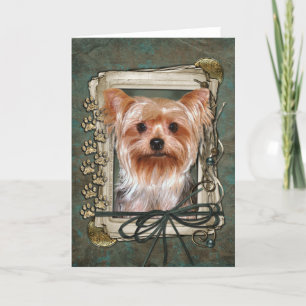 Happy Birthday - Stone Paws - Yorkshire Terrier Card