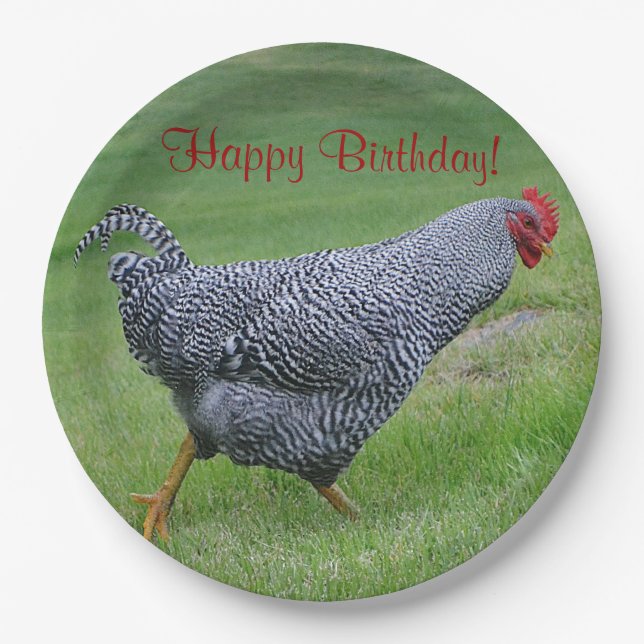 Happy Birthday Strolling Chicken Paper Plate (Front)