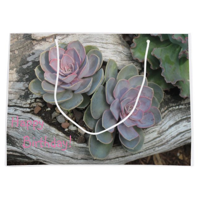 Happy Birthday Succulent Large Gift Bag (Front)