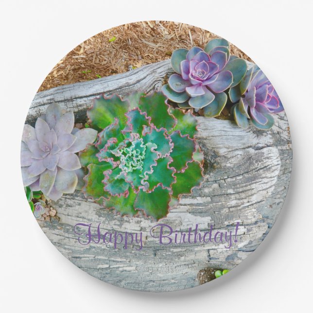 Happy Birthday Succulents On Driftwood Paper Plate (Front)