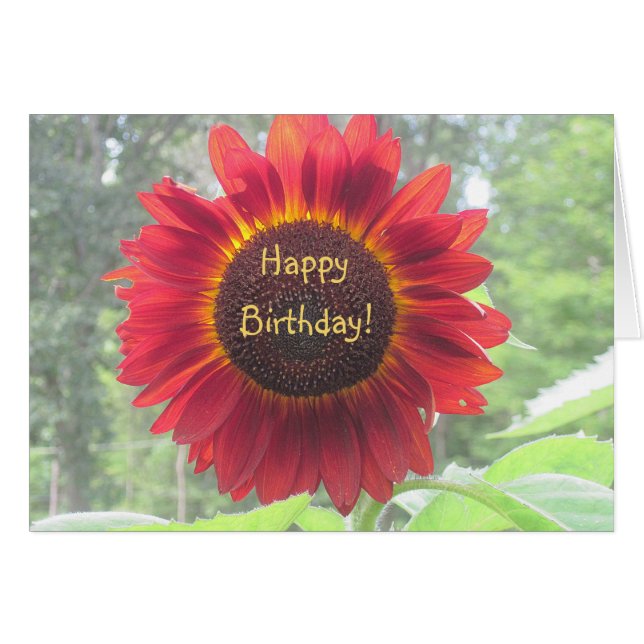 Happy Birthday Sunflower (Front Horizontal)