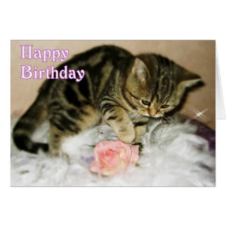 Kitten Birthday Gifts - T-Shirts, Art, Posters & Other Gift Ideas | Zazzle