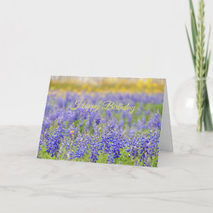 Happy Birthday, Texas Bluebonnet Field Card