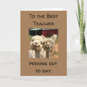 HAPPY *BIRTHDAY* ***THE BEST TEACHER*** CARD