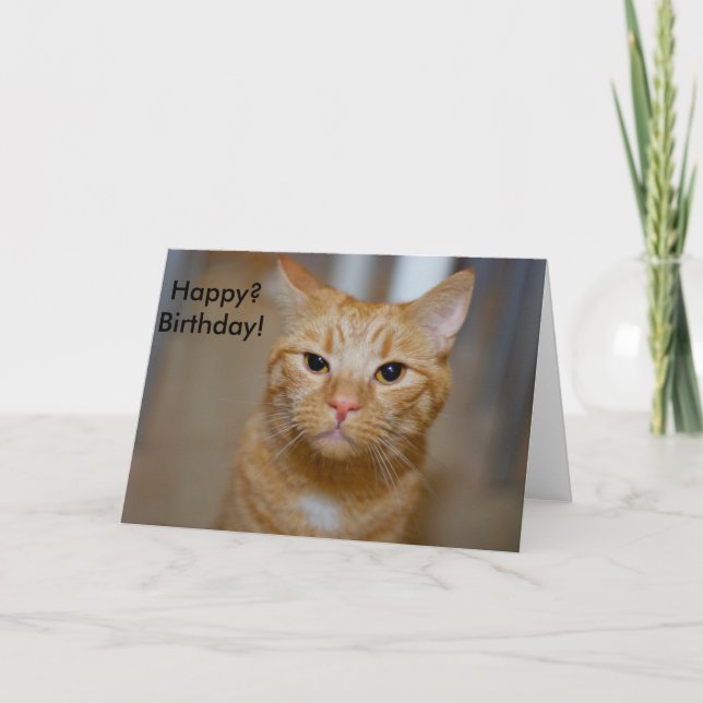 Happy? Birthday! (This Cat looks grumpy) Card (Front)