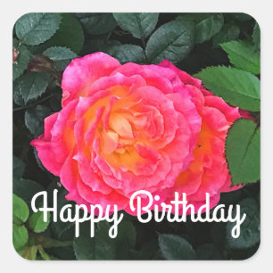 Happy Birthday Tiddly Winks Rose #1 Sticker 