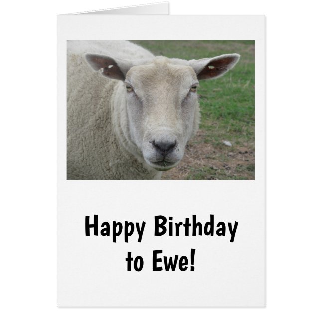 Happy Birthday to Ewe Card (Front)