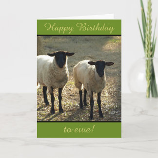 Happy Birthday to Ewe From the Flock! Customizable Card