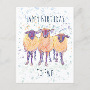 Happy Birthday To Ewe Postcard