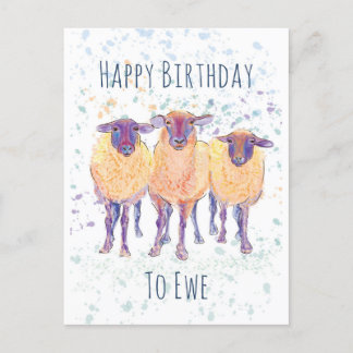 Happy Birthday To Ewe Postcard