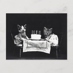 Happy Birthday to Meow   Kitties with Cake Postcard