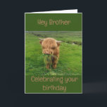 "HAPPY BIRTHDAY" TO MY **BROTHER** CARD<br><div class="desc">THANKS YOU FOR STOPPING BY ONE OF MY EIGHT STORES!</div>