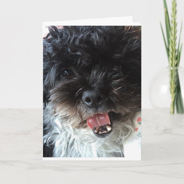 HAPPY BIRTHDAY TO MY ***FAVORITE TWIN*** CARD (Front)