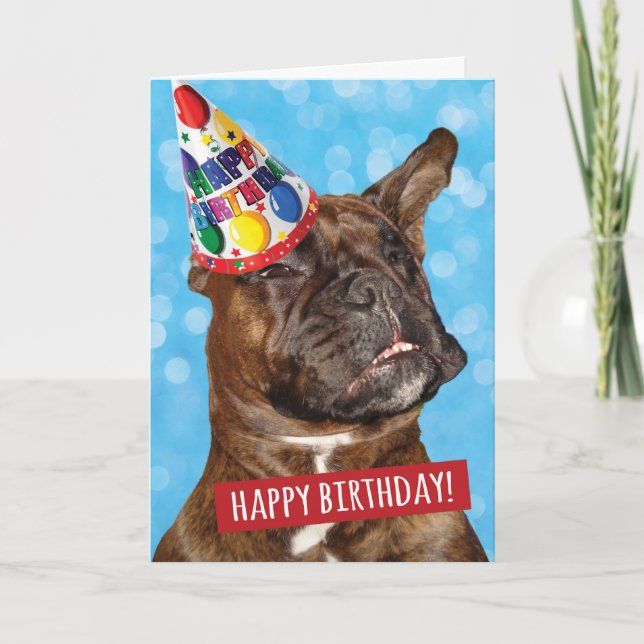 Happy Birthday to Party Animal Boxer Dog Card (Front)