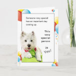 Happy Birthday to Someone Special With a Westie Card<br><div class="desc">It is wonderful to have a special friend. Celebrate their Birthday by giving them a special card on their special day. On the front of this card is Oliver, a White West Highland Terrier laying on a green pillow. To give it a birthday feeling, I have included yellow, red, and...</div>