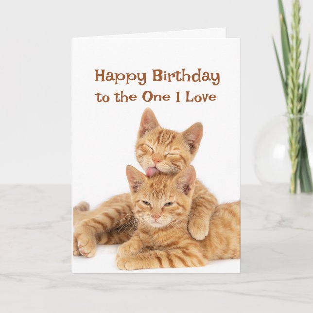  Happy Birthday to The One I Love Cute Orange Cats Card (Front)