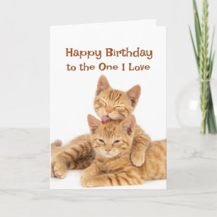  Happy Birthday to The One I Love Cute Orange Cats Card