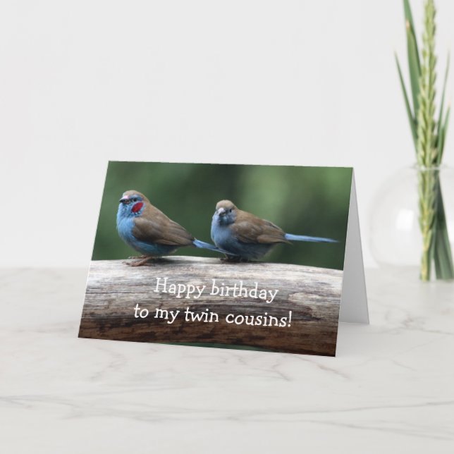 Happy birthday to the twins Birthday Card (Front)