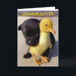 HAPPY BIRTHDAY TO YOU **GRANDDAUGHTER** CARD<br><div class="desc">HAPPY BIRTHDAY  ***GRANDDAUGHTER**** THANKS FOR STOPPING BY ONE OF MY EIGHT STORES!</div>