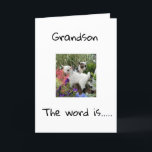 HAPPY BIRTHDAY TO YOU **GRANDSON** CARD<br><div class="desc">HAPPY BIRTHDAY  ***GRANDSON**** THANKS FOR STOPPING BY ONE OF MY EIGHT STORES!</div>