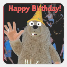 Happy birthday to you