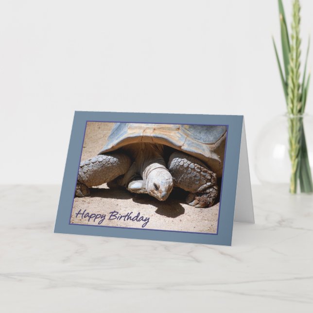 Happy Birthday Tortoise Greeting Card (Front)