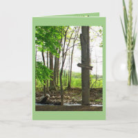 Happy Birthday Trout Pond Sign Fishing Relaxation