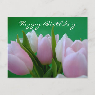 Happy Birthday - Tulips Postcard