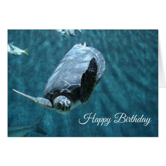 Happy Birthday Turtle and Shark Birthday Card (Front Horizontal)