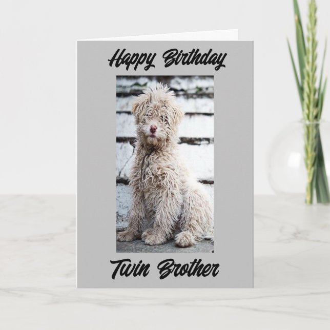 **HAPPY BIRTHDAY TWIN BROTHER**  CARD (Front)
