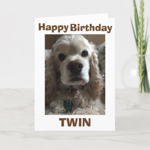 HAPPY BIRTHDAY TWIN SAYS THIS CUTE COCKER SPANIEL CARD