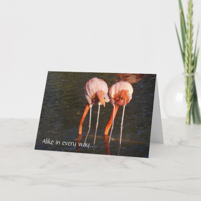 Happy Birthday Twins!-Pink Flamingos Card (Front)