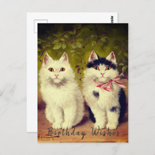  Happy Birthday Two Cats Oil Painting  Postcard