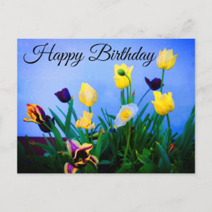 Happy Birthday Various Tulips #2 Postcard