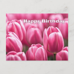 Happy Birthday Vibrant Pink Tulip Flowers Postcard