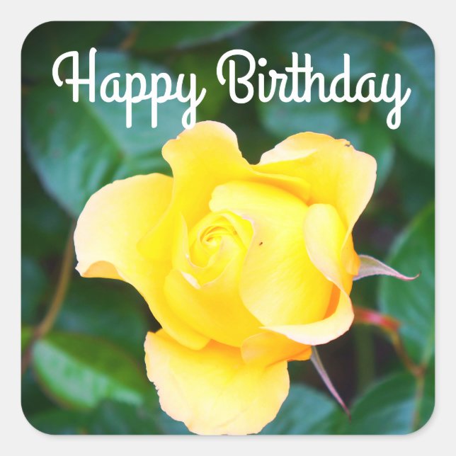Happy Birthday Walking on Sunshine Rose #1 Sticker (Front)