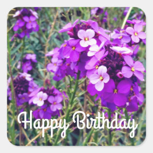 Happy Birthday Wallflower Bowles Mauve #1 Stickers