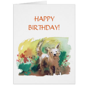 Happy birthday! West highland terrier!