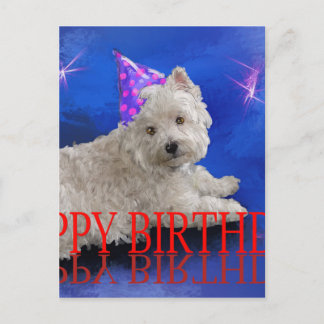 Happy Birthday Westie Postcard