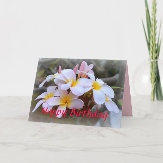 Happy Birthday White and Pink Plumeria, Pink Card (Front)