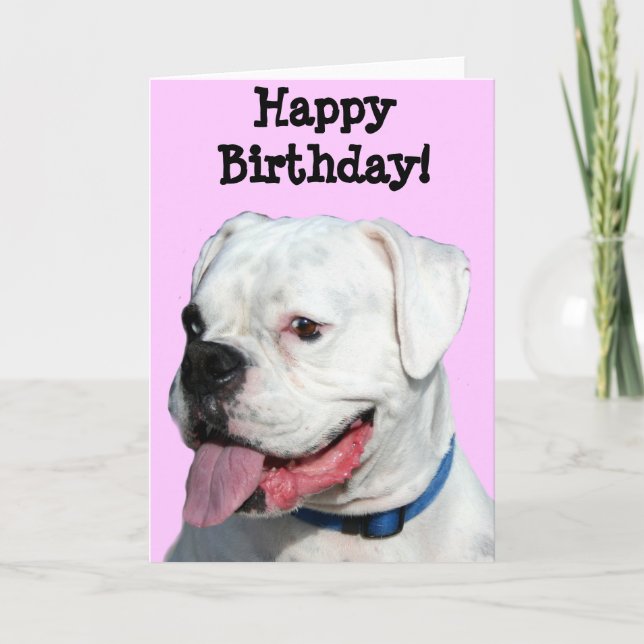 Happy Birthday White Boxer greeting card (Front)