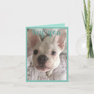 Happy birthday white French bulldog floral card