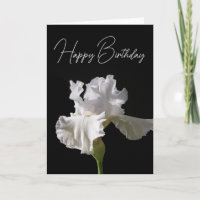 Happy Birthday | White Iris